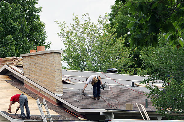 Best Roof Gutter Cleaning  in Pleasantville, IA