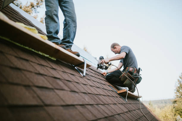 Best Metal Roofing Contractor  in Pleasantville, IA